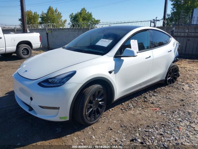 Photo 1 VIN: 7SAYGDEE6PF588608 - TESLA MODEL Y 