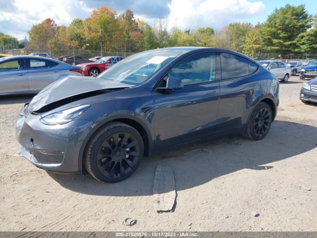 Photo 1 VIN: 7SAYGDEE6PF598653 - TESLA MODEL Y 