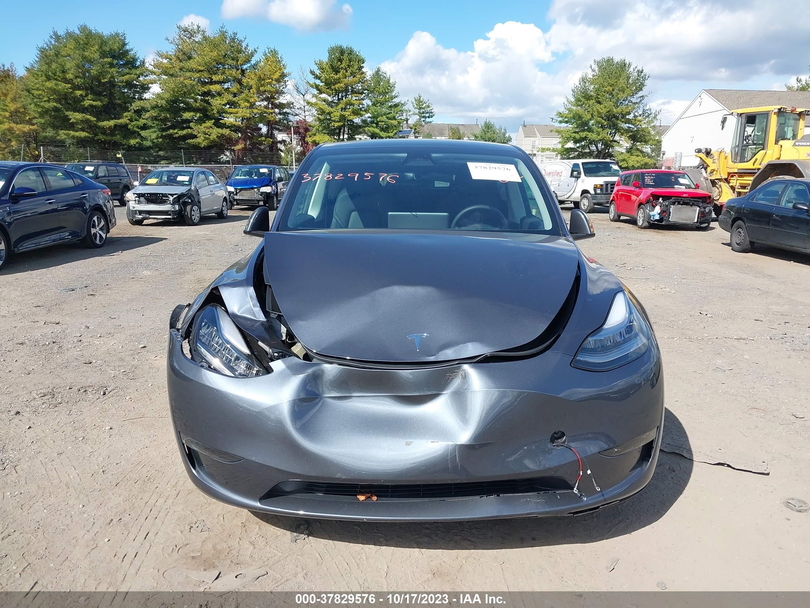 Photo 10 VIN: 7SAYGDEE6PF598653 - TESLA MODEL Y 