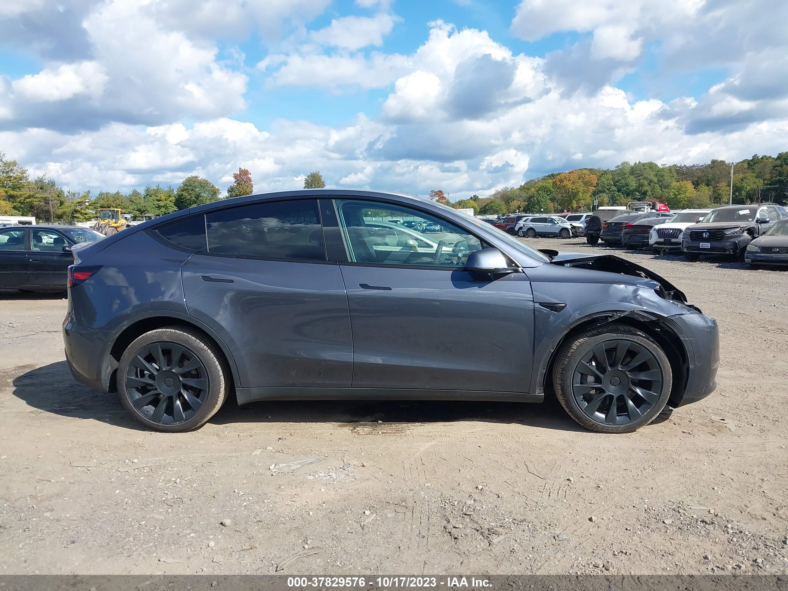 Photo 11 VIN: 7SAYGDEE6PF598653 - TESLA MODEL Y 