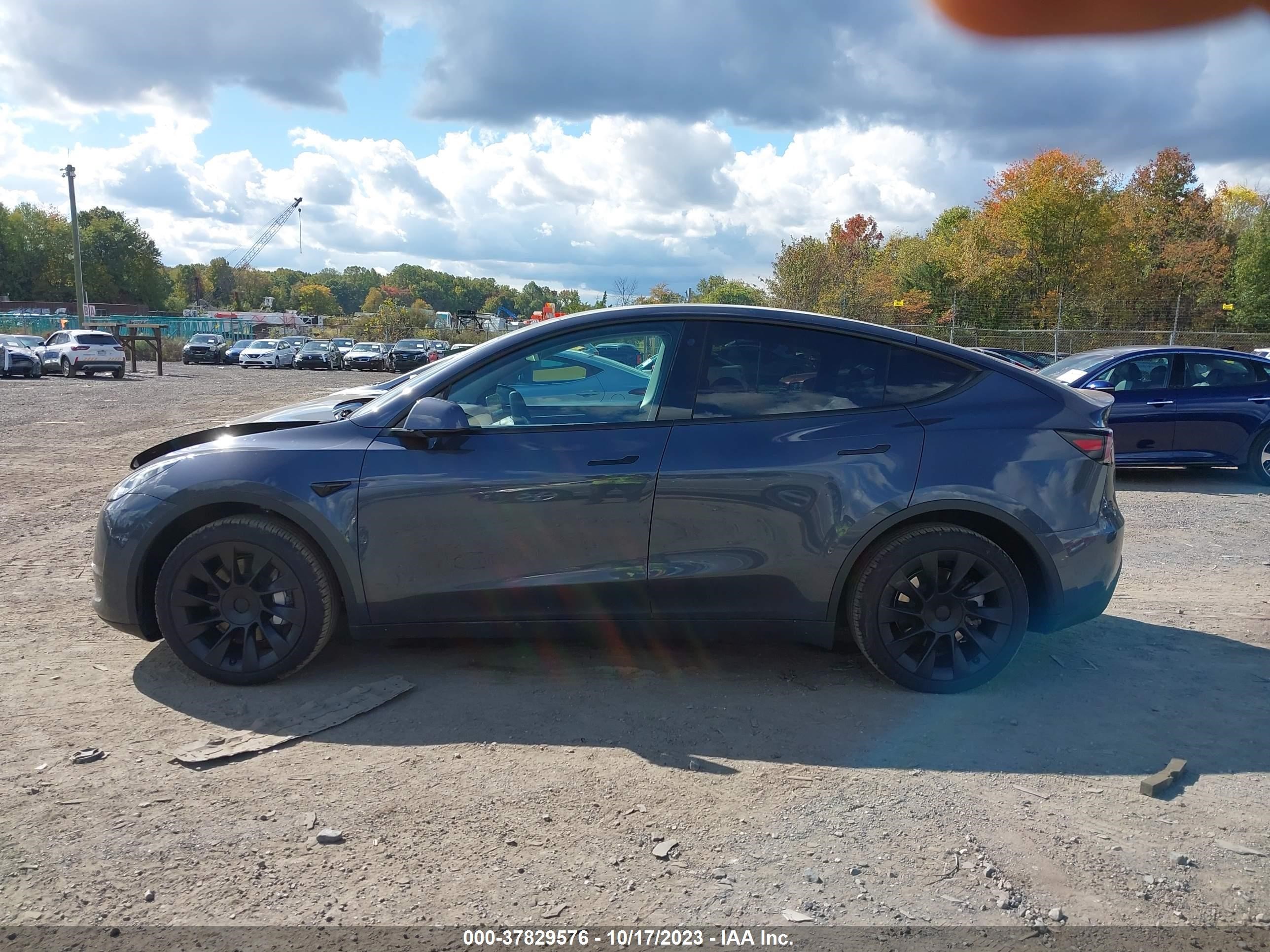 Photo 12 VIN: 7SAYGDEE6PF598653 - TESLA MODEL Y 