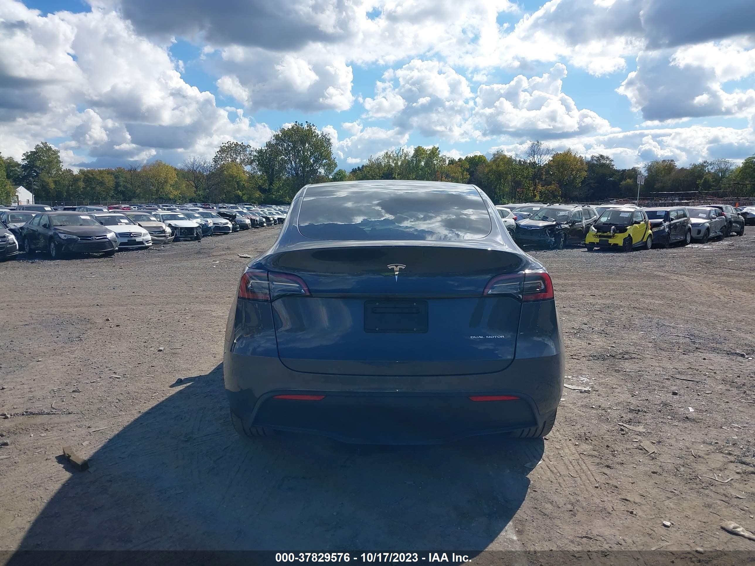 Photo 14 VIN: 7SAYGDEE6PF598653 - TESLA MODEL Y 