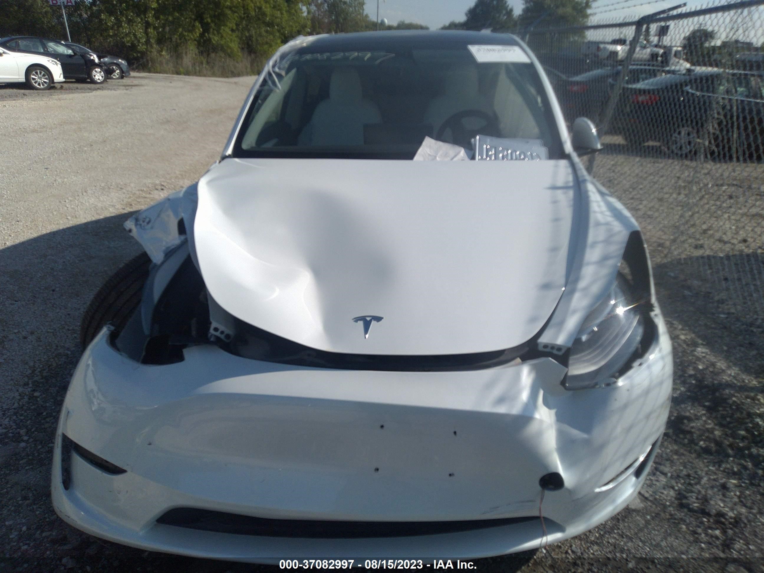 Photo 9 VIN: 7SAYGDEE6PF638536 - TESLA MODEL Y 