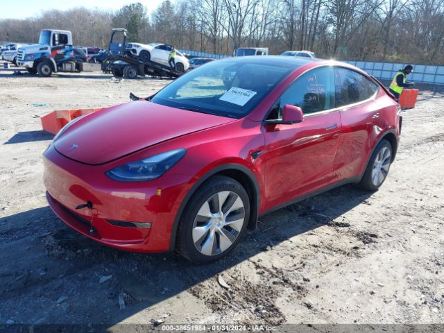 Photo 1 VIN: 7SAYGDEE6PF675571 - TESLA MODEL Y 