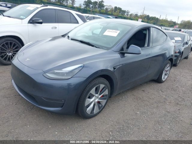 Photo 1 VIN: 7SAYGDEE6PF810029 - TESLA MODEL Y 