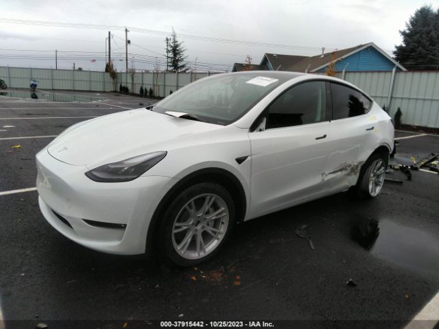 Photo 1 VIN: 7SAYGDEE6PF847047 - TESLA MODEL Y 