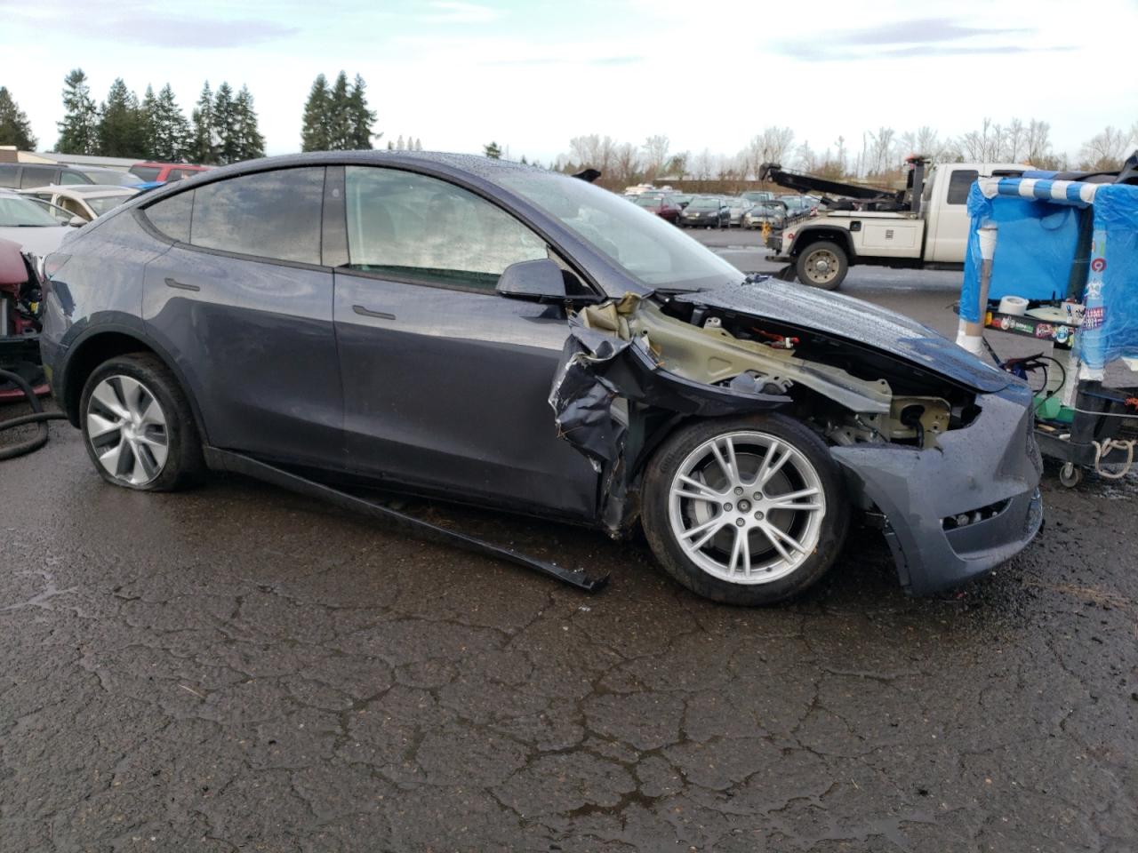 Photo 3 VIN: 7SAYGDEE6PF886446 - TESLA MODEL Y 