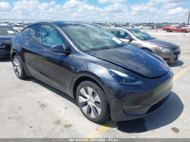 Photo 0 VIN: 7SAYGDEE6RA222311 - TESLA MODEL Y 