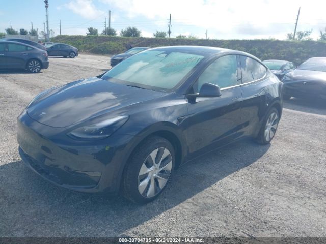 Photo 1 VIN: 7SAYGDEE6RA239531 - TESLA MODEL Y 