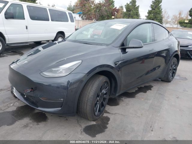 Photo 1 VIN: 7SAYGDEE6RF025657 - TESLA MODEL Y 