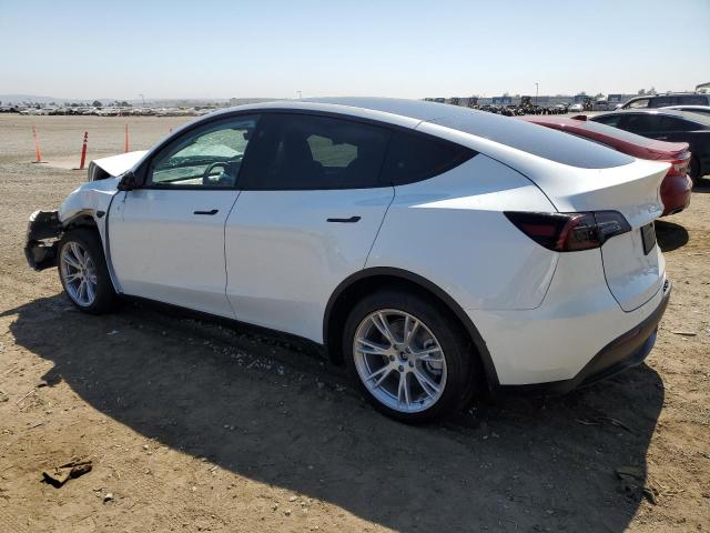 Photo 1 VIN: 7SAYGDEE6RF088774 - TESLA MODEL Y 