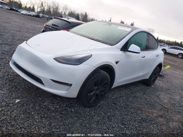 Photo 1 VIN: 7SAYGDEE6RF129422 - TESLA MODEL Y 