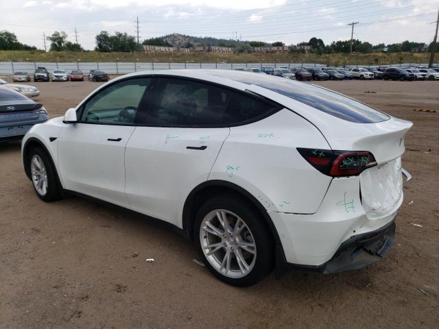 Photo 1 VIN: 7SAYGDEE7NF315464 - TESLA MODEL Y 