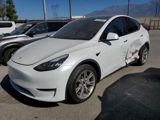 Photo 0 VIN: 7SAYGDEE7NF355558 - TESLA MODEL Y 