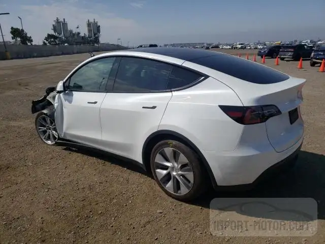 Photo 1 VIN: 7SAYGDEE7NF356516 - TESLA MODEL Y 