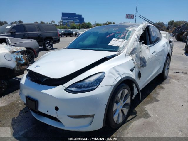 Photo 1 VIN: 7SAYGDEE7NF408615 - TESLA MODEL Y 