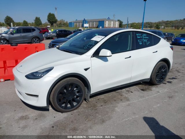 Photo 1 VIN: 7SAYGDEE7NF413880 - TESLA MODEL Y 