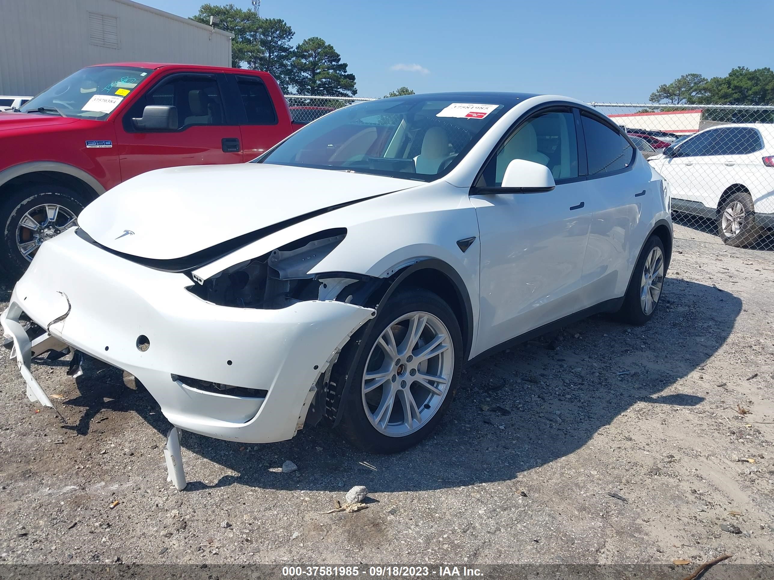 Photo 1 VIN: 7SAYGDEE7NF418562 - TESLA MODEL Y 