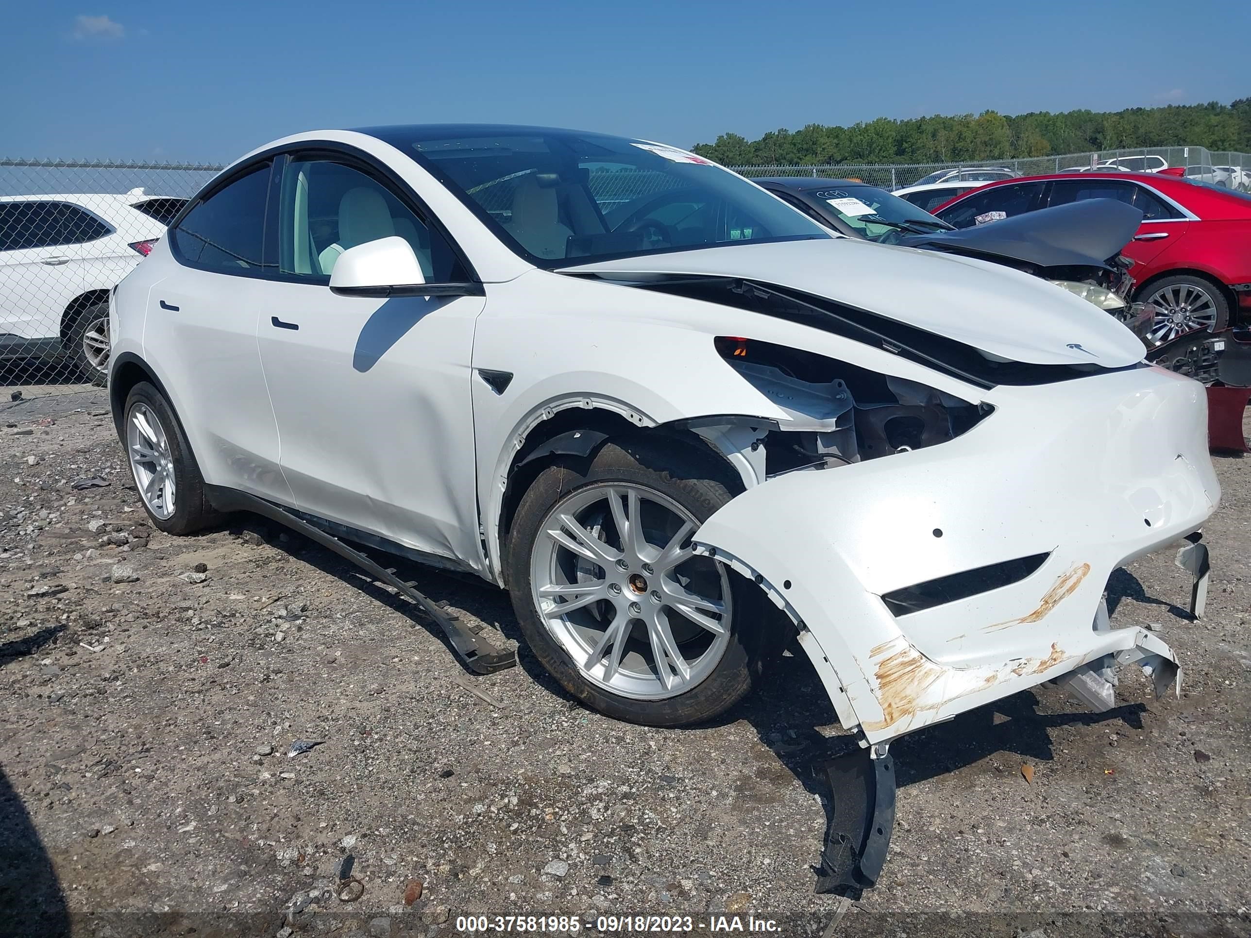 Photo 10 VIN: 7SAYGDEE7NF418562 - TESLA MODEL Y 