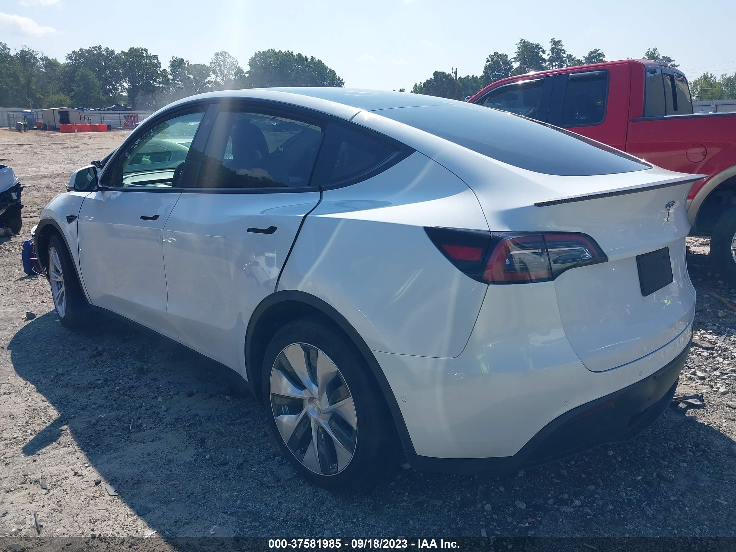 Photo 11 VIN: 7SAYGDEE7NF418562 - TESLA MODEL Y 