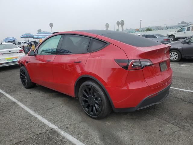 Photo 1 VIN: 7SAYGDEE7NF507841 - TESLA MODEL Y 