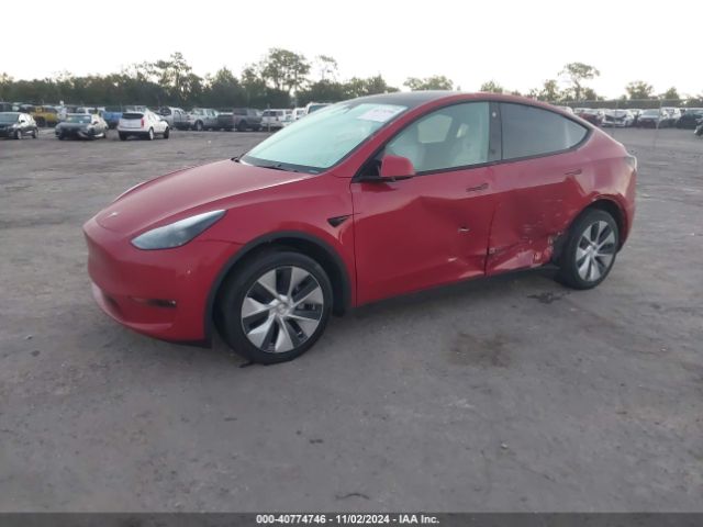 Photo 1 VIN: 7SAYGDEE7NF522050 - TESLA MODEL Y 