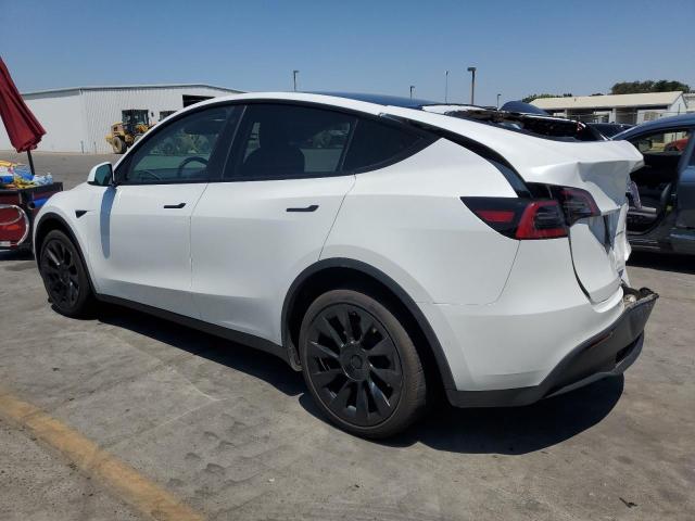 Photo 1 VIN: 7SAYGDEE7NF551919 - TESLA MODEL Y 