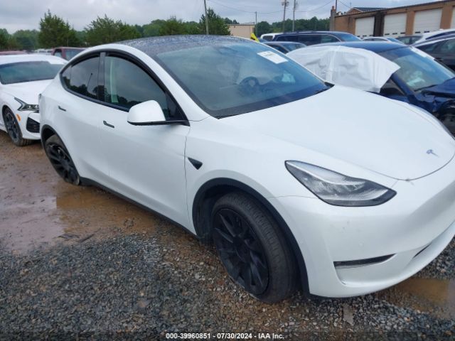 Photo 0 VIN: 7SAYGDEE7NF567781 - TESLA MODEL Y 