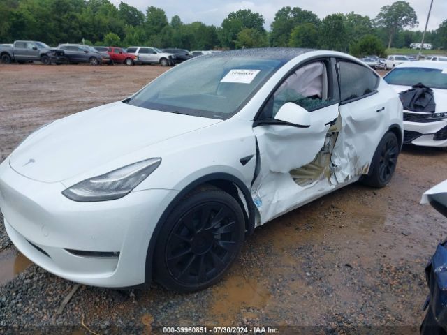 Photo 1 VIN: 7SAYGDEE7NF567781 - TESLA MODEL Y 