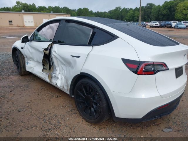 Photo 2 VIN: 7SAYGDEE7NF567781 - TESLA MODEL Y 