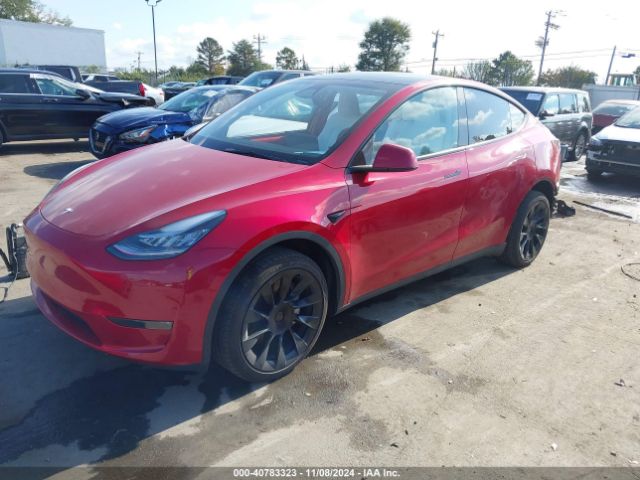 Photo 1 VIN: 7SAYGDEE7PA155182 - TESLA MODEL Y 