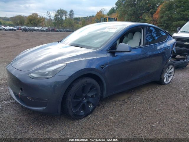 Photo 1 VIN: 7SAYGDEE7PA172421 - TESLA MODEL Y 