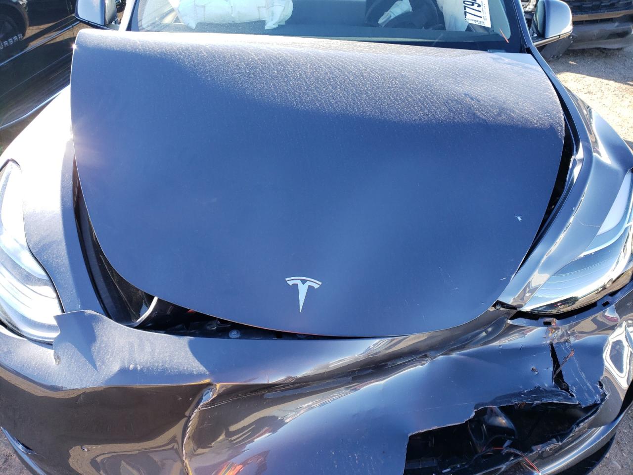 Photo 10 VIN: 7SAYGDEE7PA178459 - TESLA MODEL Y 