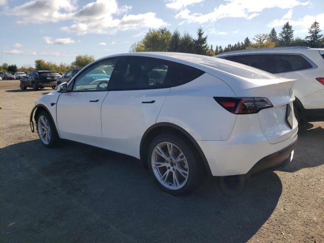 Photo 1 VIN: 7SAYGDEE7PF597317 - TESLA MODEL Y 