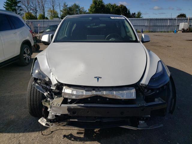 Photo 4 VIN: 7SAYGDEE7PF597317 - TESLA MODEL Y 