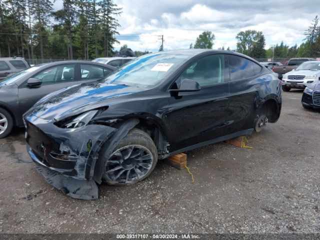 Photo 1 VIN: 7SAYGDEE7PF623205 - TESLA MODEL Y 