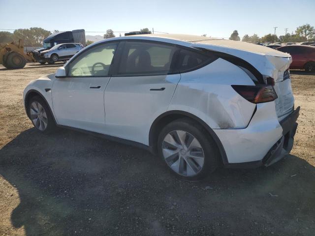 Photo 1 VIN: 7SAYGDEE7PF628498 - TESLA MODEL Y 