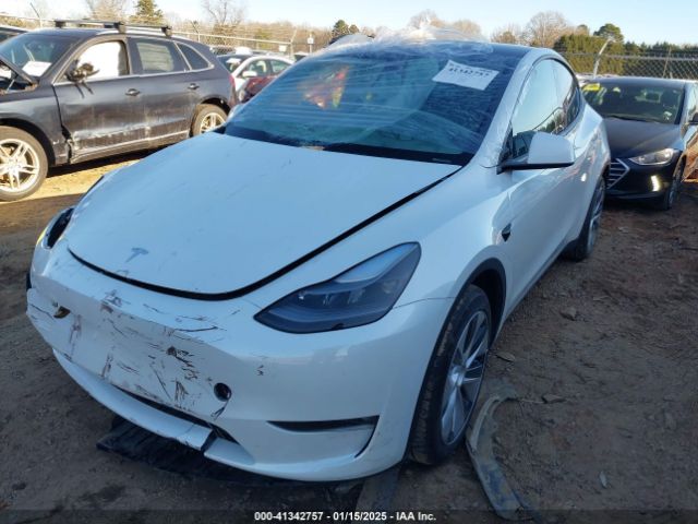 Photo 1 VIN: 7SAYGDEE7PF683016 - TESLA MODEL Y 