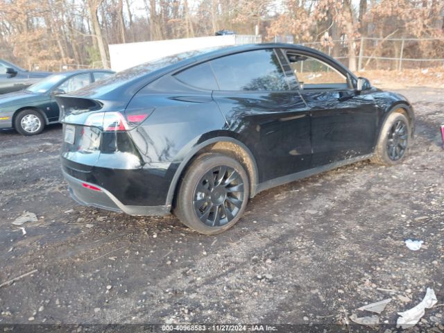 Photo 3 VIN: 7SAYGDEE7PF688703 - TESLA MODEL Y 