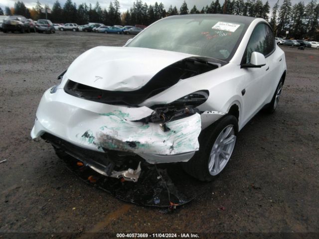 Photo 1 VIN: 7SAYGDEE7PF825106 - TESLA MODEL Y 