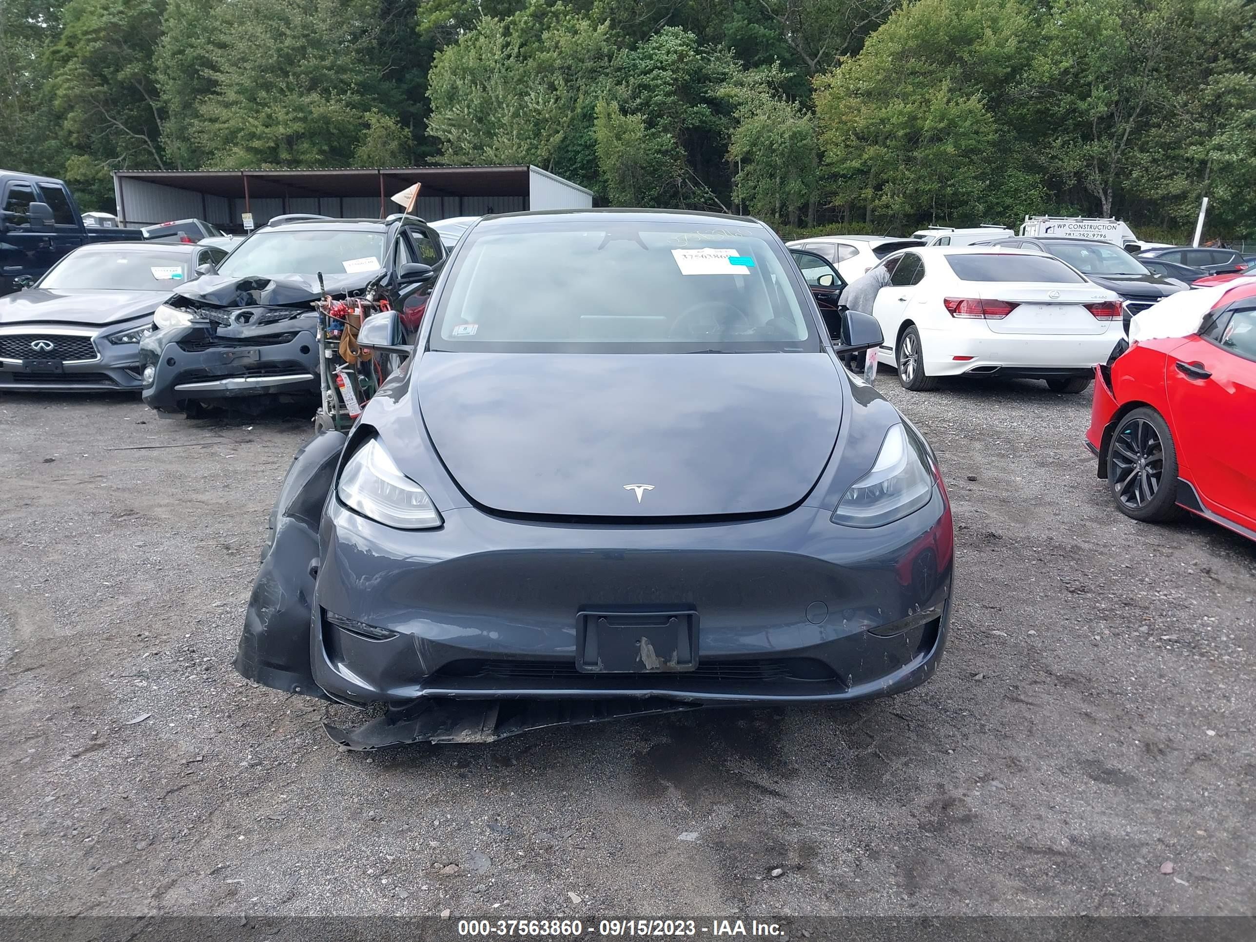 Photo 10 VIN: 7SAYGDEE7PF851866 - TESLA MODEL Y 