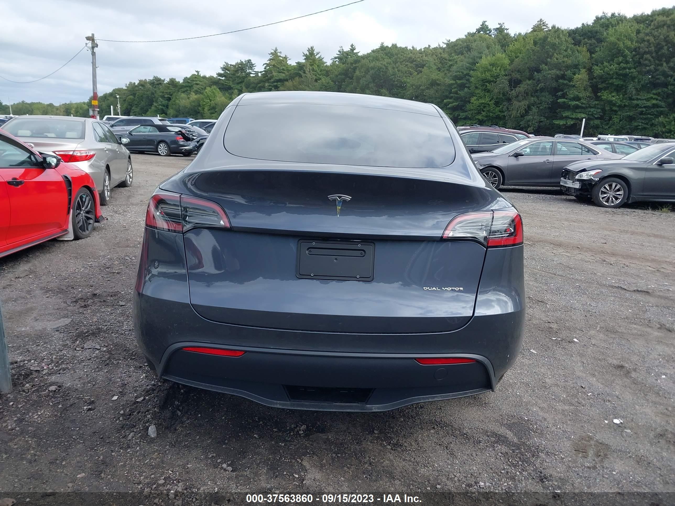 Photo 14 VIN: 7SAYGDEE7PF851866 - TESLA MODEL Y 