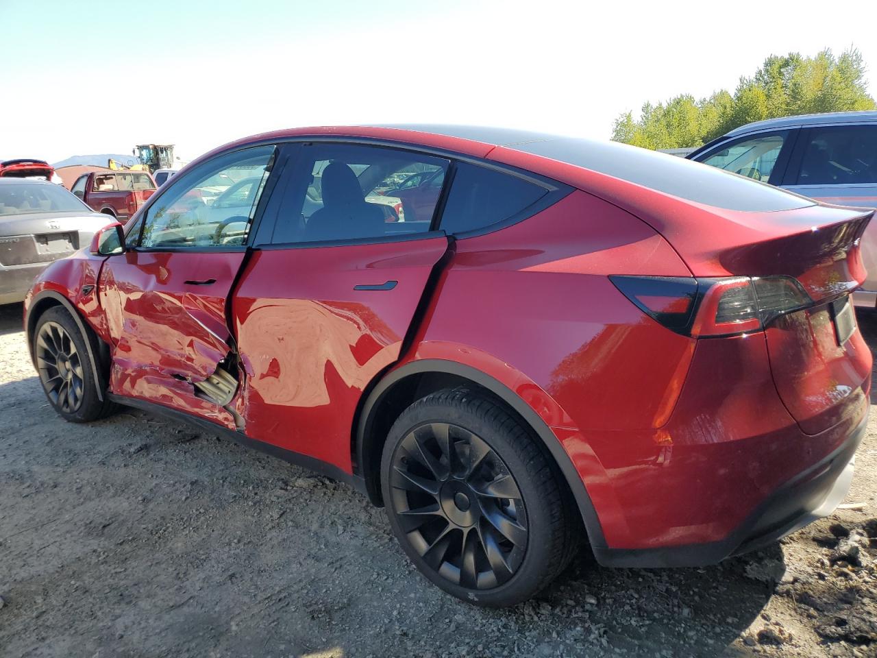 Photo 1 VIN: 7SAYGDEE7PF901505 - TESLA MODEL Y 