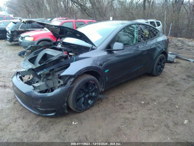 Photo 1 VIN: 7SAYGDEE7RA214802 - TESLA MODEL Y 