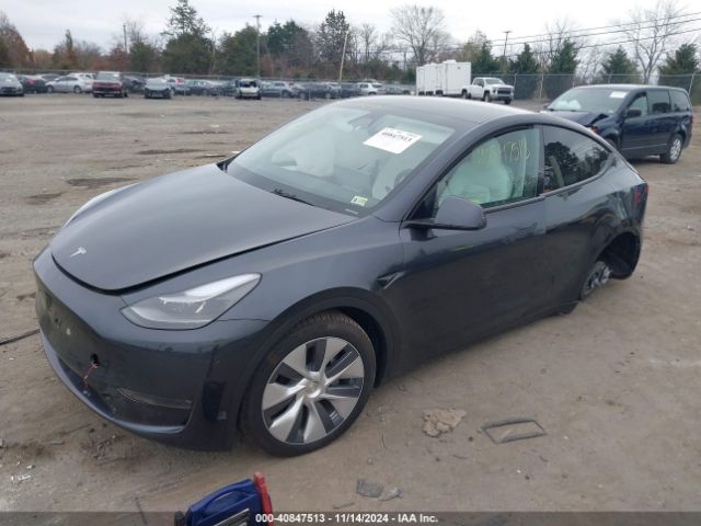 Photo 1 VIN: 7SAYGDEE7RA263739 - TESLA MODEL Y 