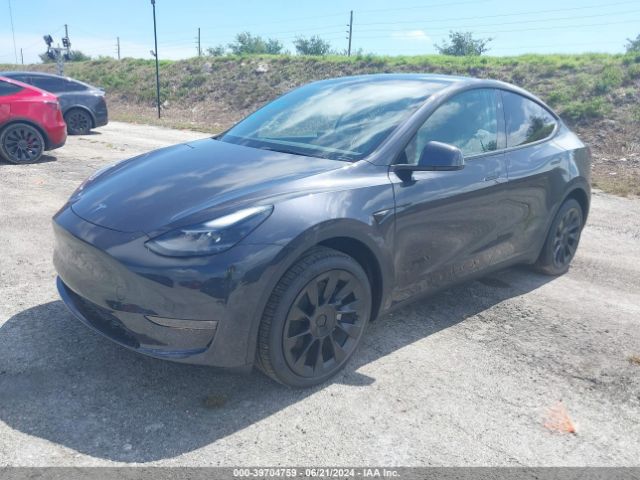 Photo 1 VIN: 7SAYGDEE7RA281254 - TESLA MODEL Y 