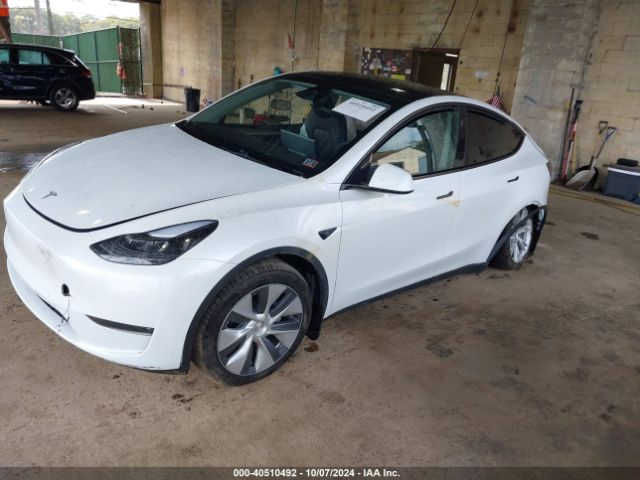 Photo 1 VIN: 7SAYGDEE7RA288673 - TESLA MODEL Y 