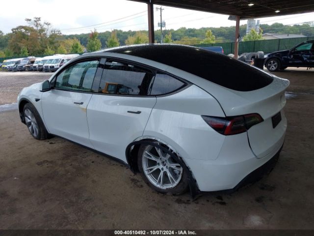 Photo 2 VIN: 7SAYGDEE7RA288673 - TESLA MODEL Y 