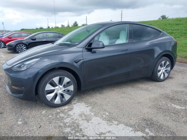 Photo 1 VIN: 7SAYGDEE7RF027398 - TESLA MODEL Y 