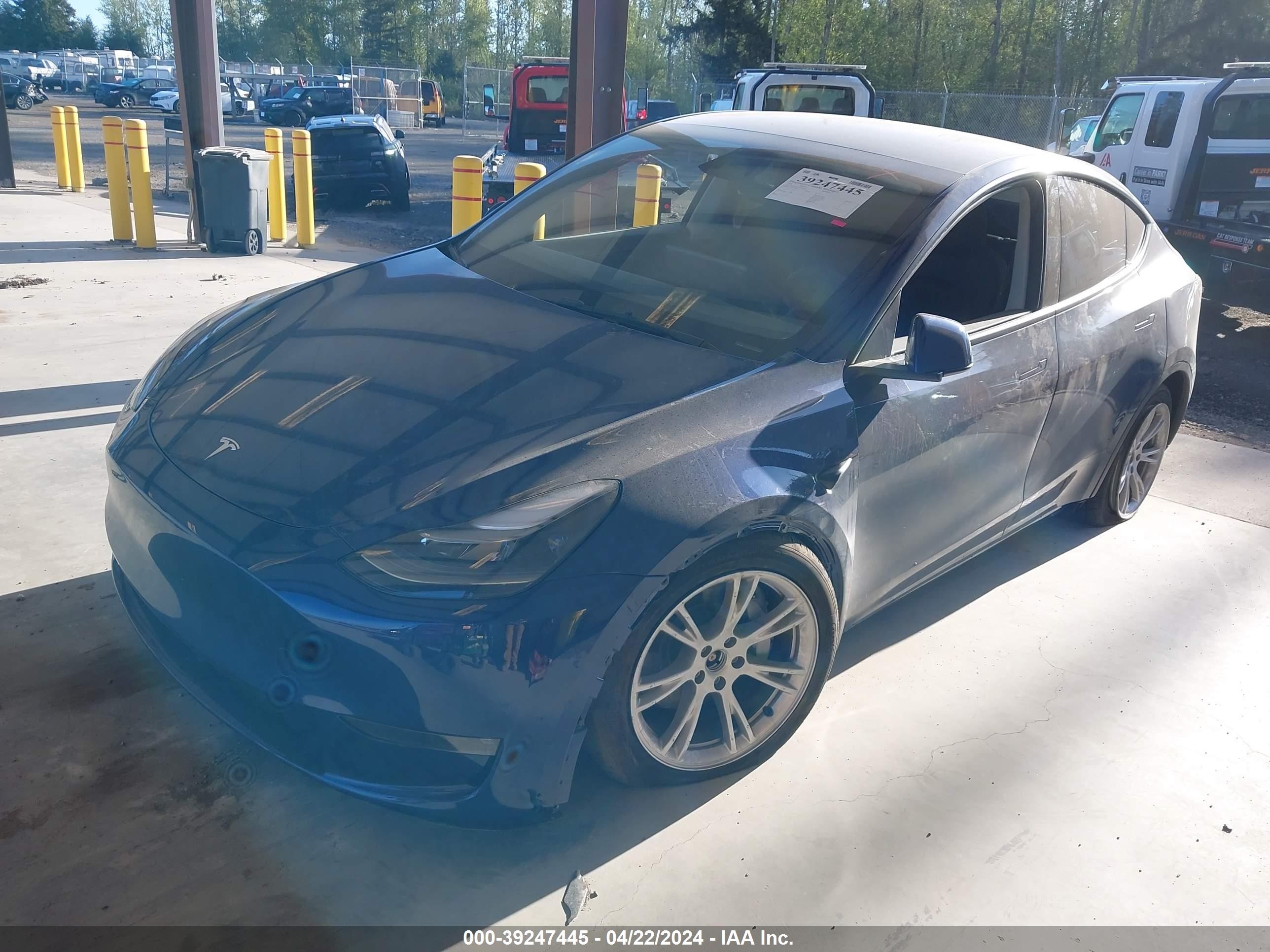 Photo 1 VIN: 7SAYGDEE7RF983819 - TESLA MODEL Y 